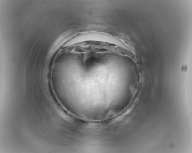 X0000090480101200708102205