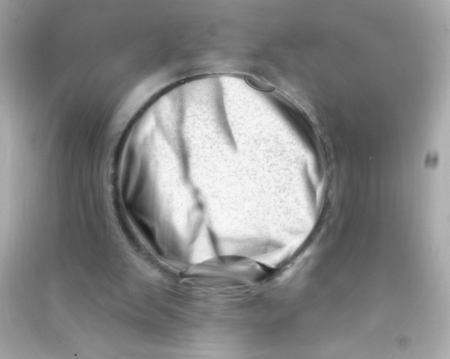 X0000090480103200708102205