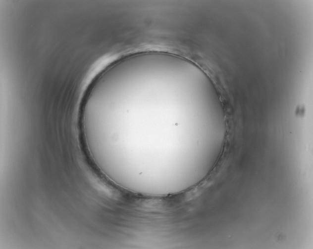 X0000090480104200708102205