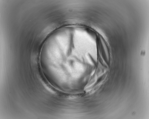 X0000090480105200708102205