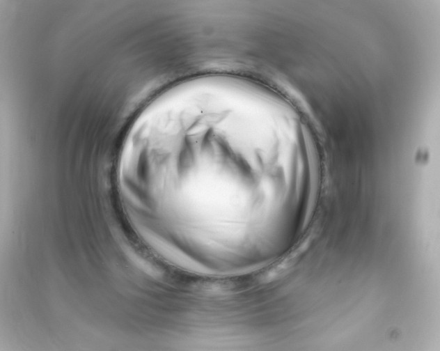 X0000090480106200708102205