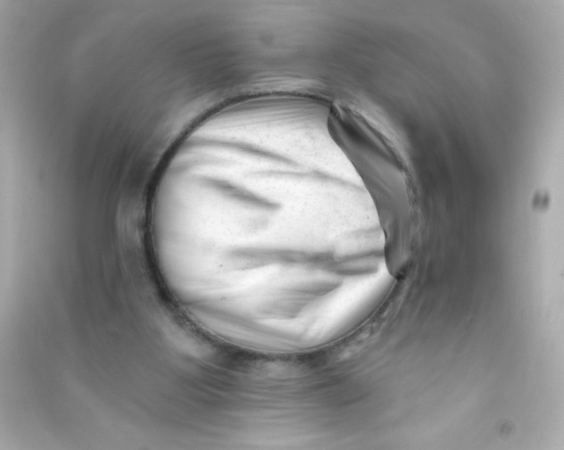 X0000090480107200708102205
