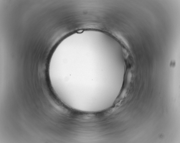 X0000090480108200708102205