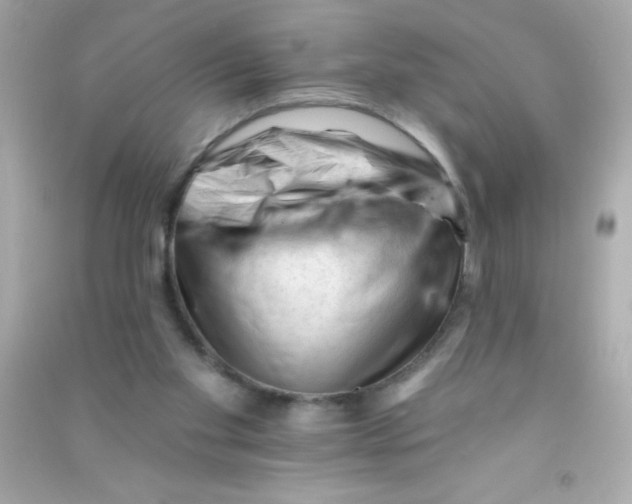 X0000090480109200708102205
