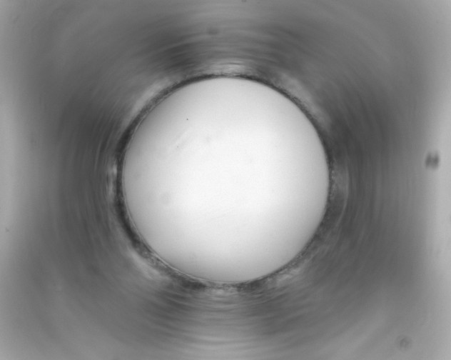 X0000090480110200708102205