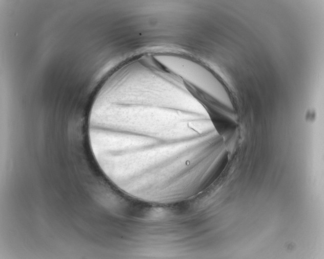 X0000090480111200708102205
