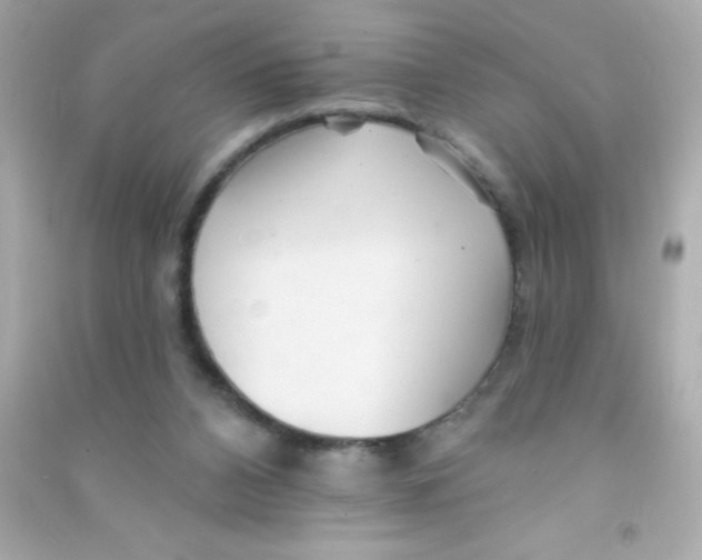 X0000090480112200708102205