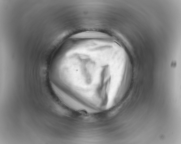 X0000090480113200708102205