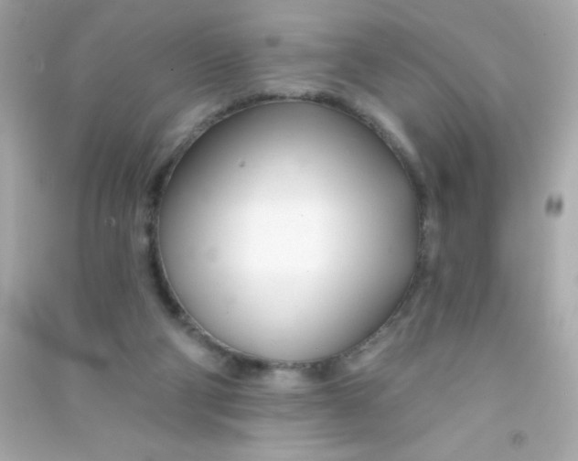 X0000090480114200708102205