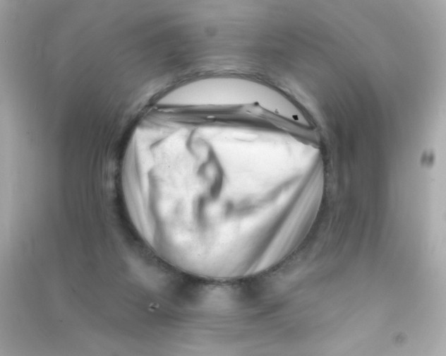 X0000090480115200708102205