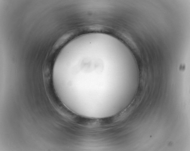 X0000090480116200708102205