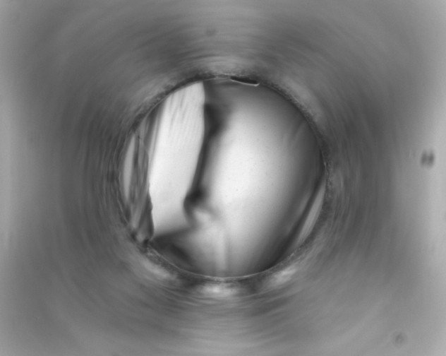 X0000090480117200708102205