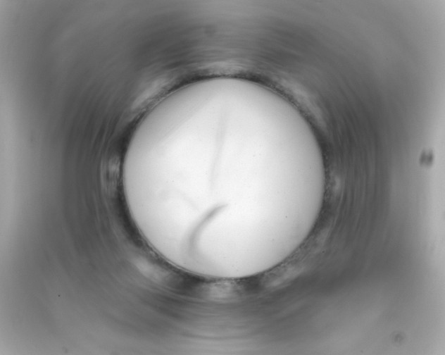 X0000090480118200708102205