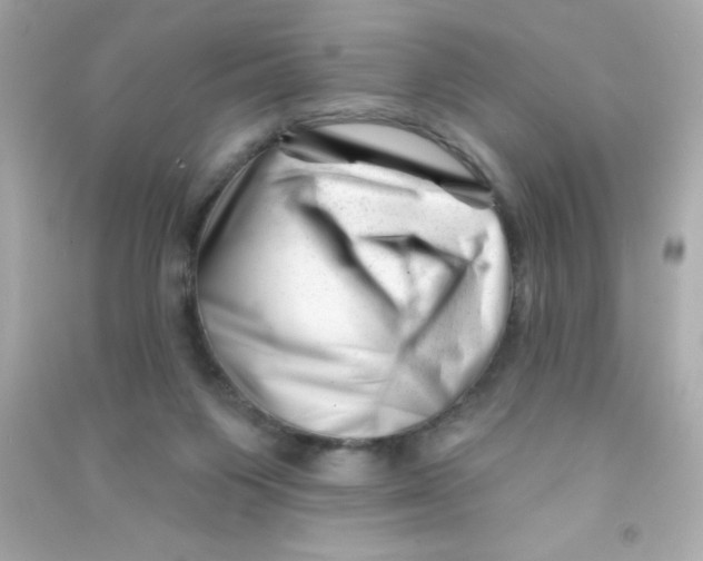 X0000090480119200708102205