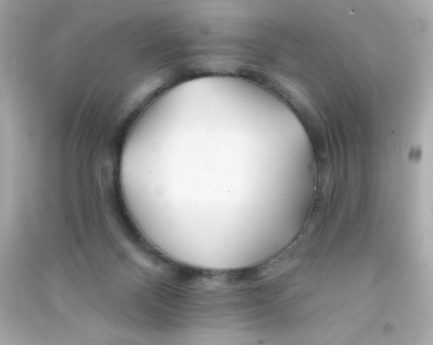 X0000090480120200708102205
