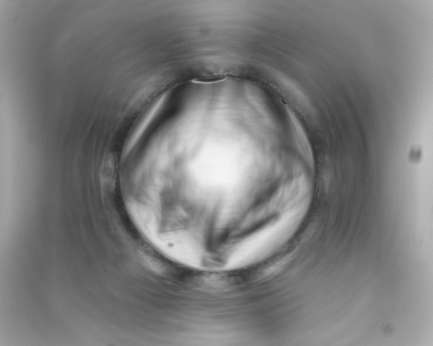 X0000090480121200708102205