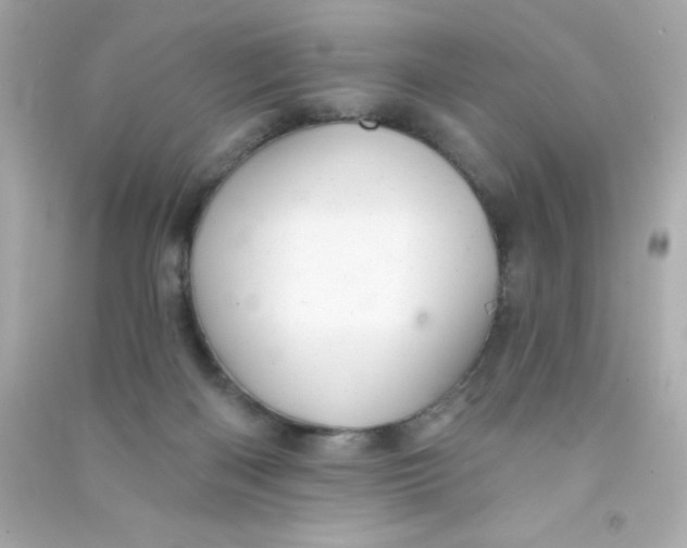 X0000090480122200708102205