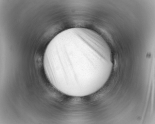 X0000090480123200708102205