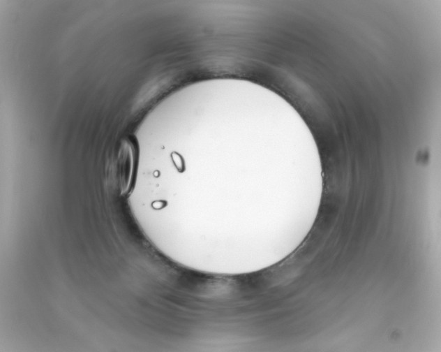 X0000090480124200708102205