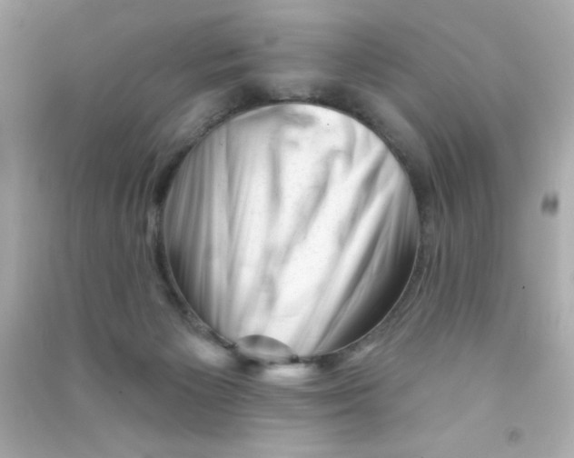X0000090480125200708102205