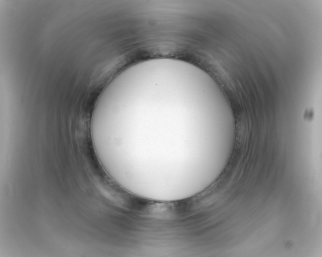 X0000090480126200708102205