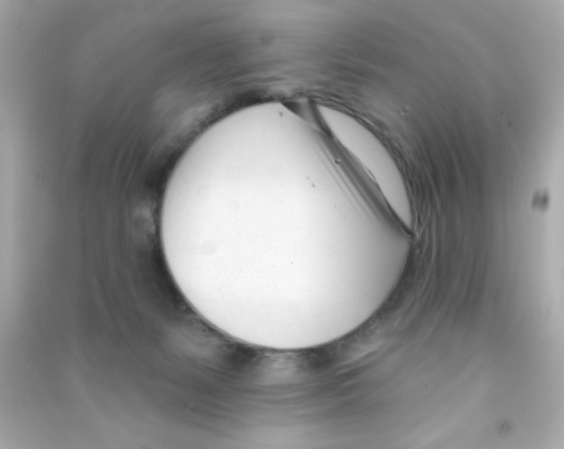X0000090480127200708102205
