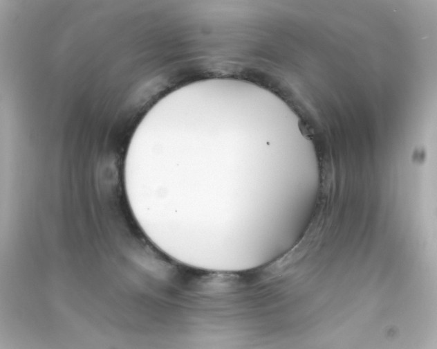 X0000090480128200708102205