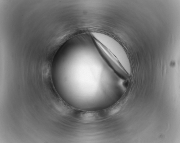 X0000090480129200708102205