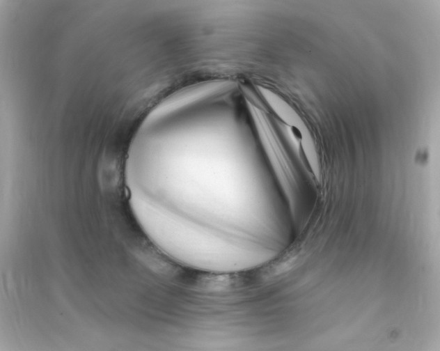 X0000090480131200708102205