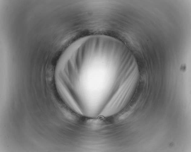 X0000090480133200708102205
