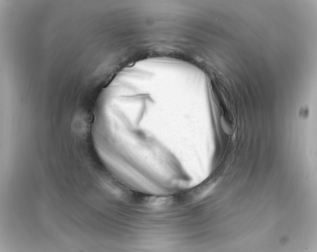 X0000090480135200708102205