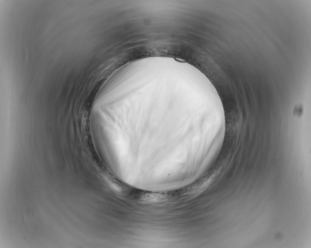 X0000090480139200708102205