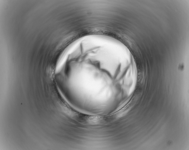 X0000090480142200708102205