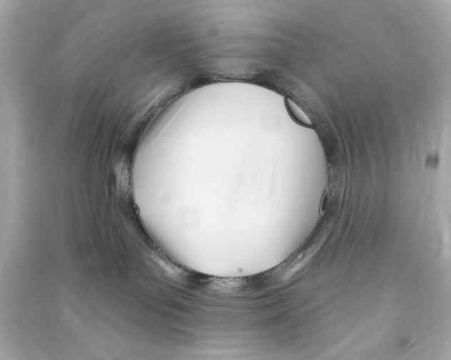 X0000090480143200708102205