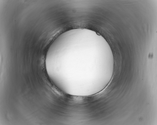 X0000090480144200708102205