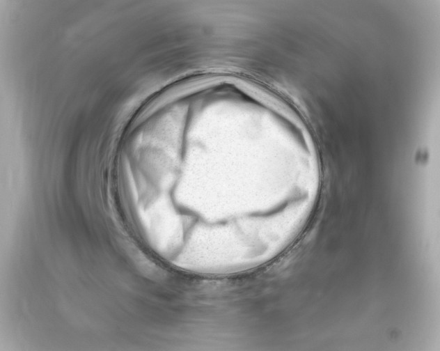 X0000090480145200708102204