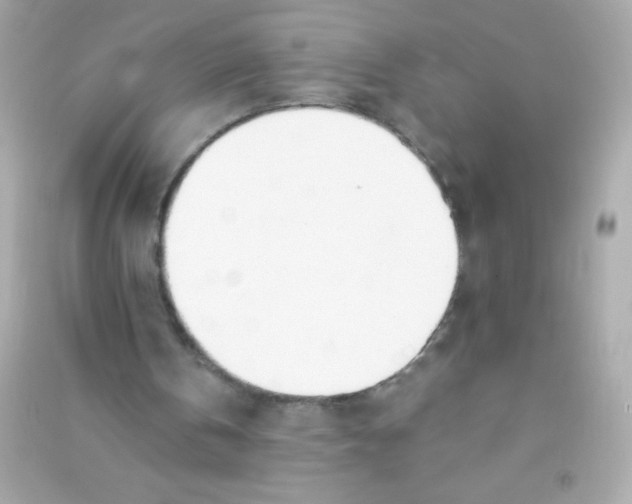X0000090480146200708102204