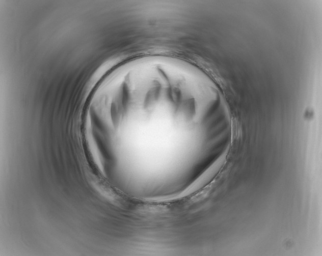 X0000090480147200708102204