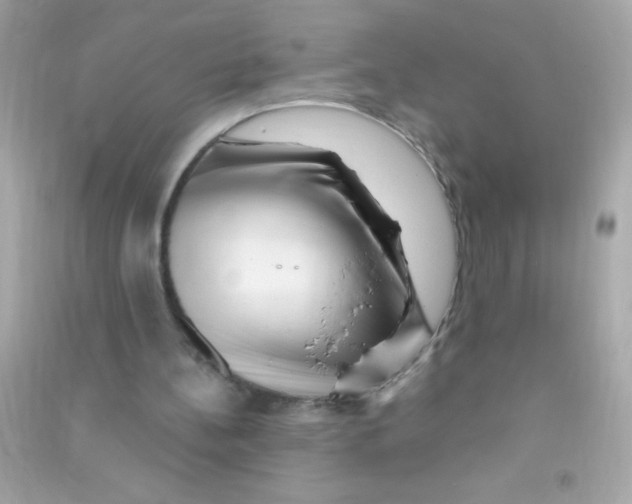 X0000090480148200708102204