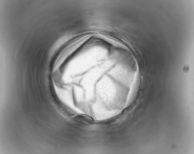 X0000090480149200708102204