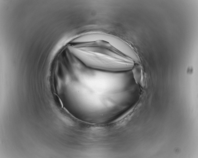 X0000090480150200708102204