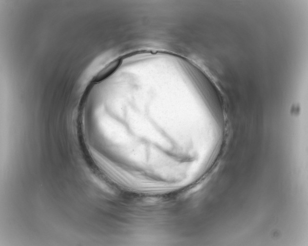 X0000090480151200708102204