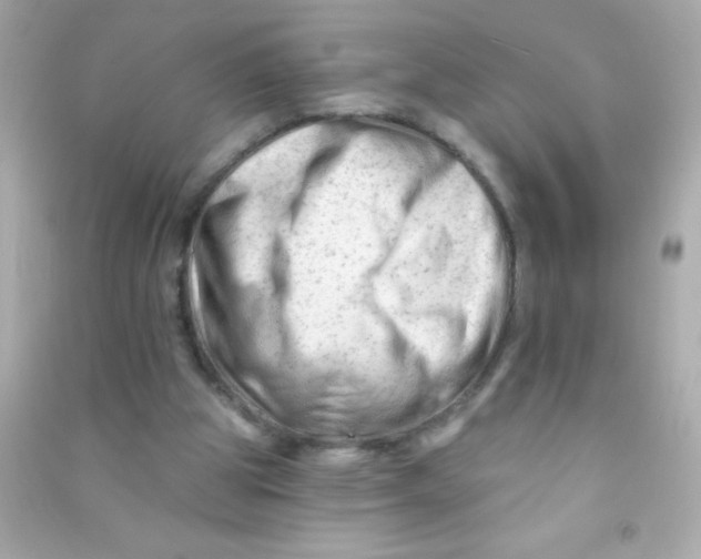 X0000090480153200708102204