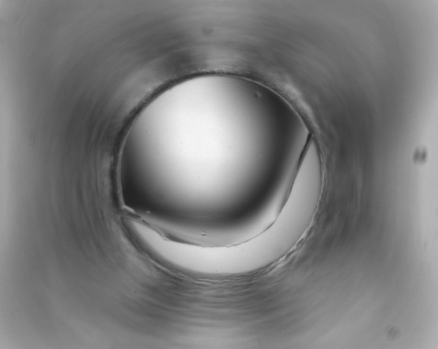X0000090480154200708102204
