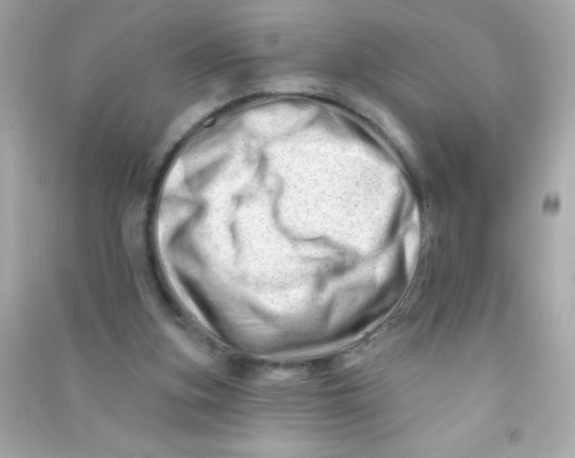 X0000090480155200708102204