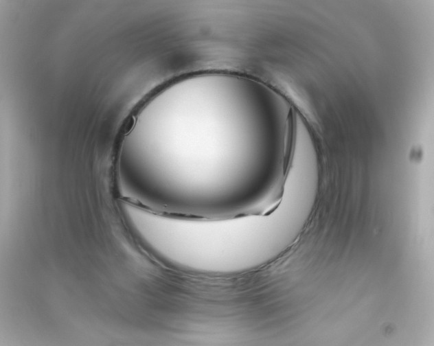 X0000090480156200708102204
