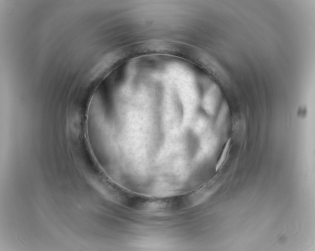 X0000090480158200708102204