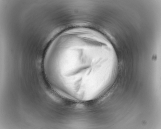 X0000090480159200708102204
