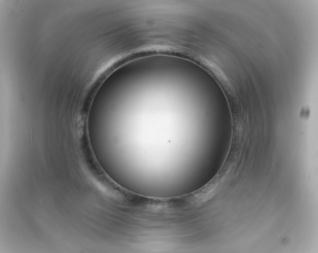 X0000090480160200708102204