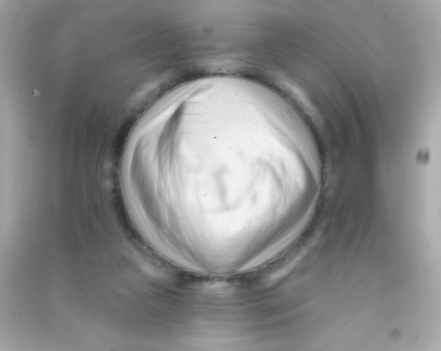 X0000090480161200708102204
